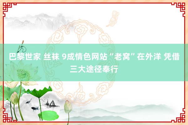 巴黎世家 丝袜 9成情色网站“老窝”在外洋 凭借三大途径奉行