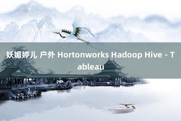 妖媚婷儿 户外 Hortonworks Hadoop Hive - Tableau