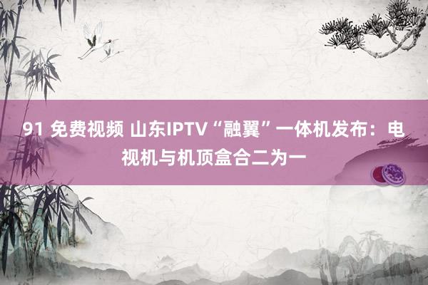 91 免费视频 山东IPTV“融翼”一体机发布：电视机与机顶盒合二为一