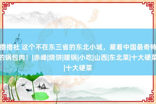 撸撸社 这个不在东三省的东北小城，藏着中国最奇特的锅包肉！|赤峰|烧饼|暖锅|小吃|山西|东北菜|十大硬菜