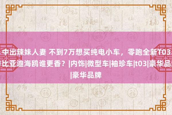 中出辣妹人妻 不到7万想买纯电小车，零跑全新T03与比亚迪海鸥谁更香？|内饰|微型车|袖珍车|t03|豪华品牌