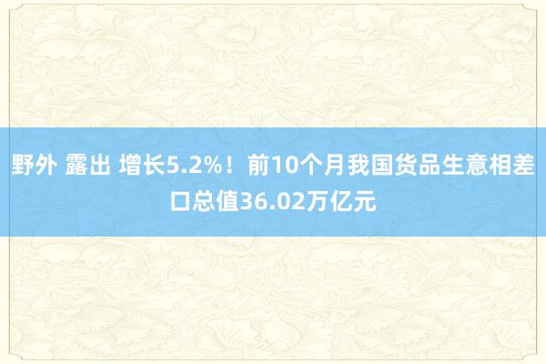 野外 露出 增长5.2%！前10个月我国货品生意相差口总值36.02万亿元