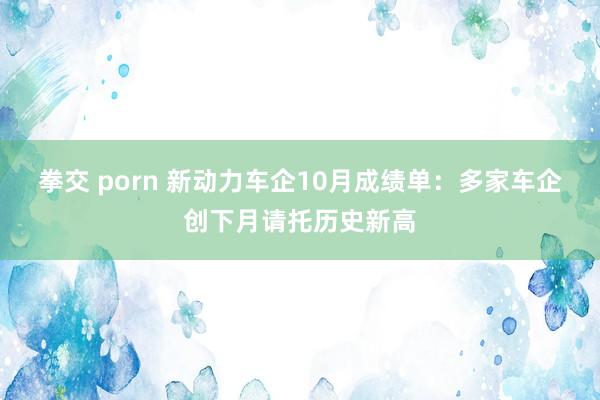 拳交 porn 新动力车企10月成绩单：多家车企创下月请托历史新高