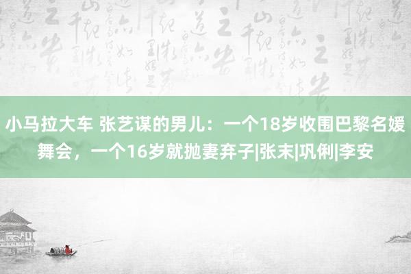 小马拉大车 张艺谋的男儿：一个18岁收围巴黎名媛舞会，一个16岁就抛妻弃子|张末|巩俐|李安